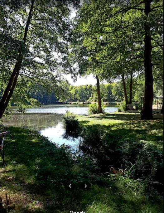 Sonnige Etagen-Wohnung, Alleinige Nutzung, Wasserbett Neunkirchen  Bagian luar foto